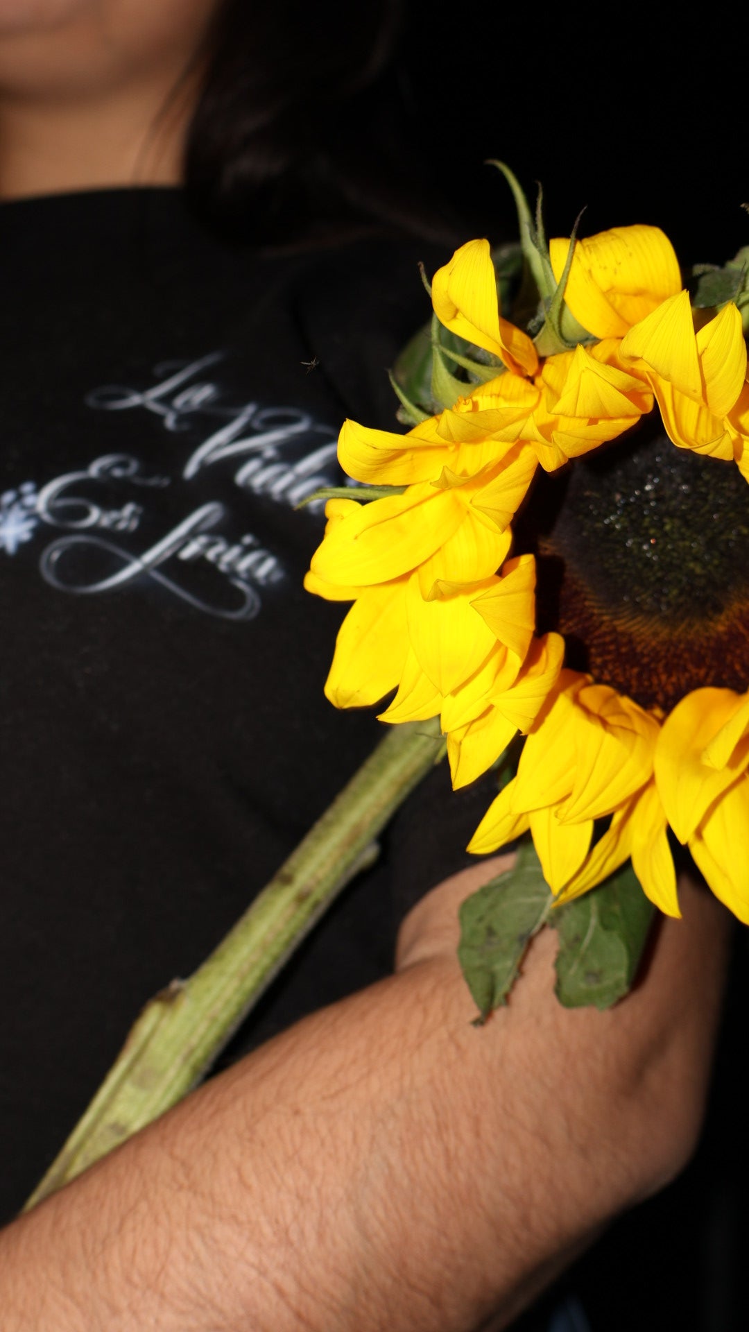 La Vida Es Fria 🥀